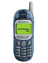 Best available price of Motorola T190 in Grenada