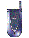 Best available price of Motorola V66i in Grenada
